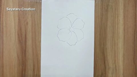 How to draw a hibiscus flower step by step pencil sketch