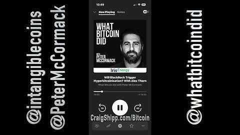 Bitcoin Wrap Alex Thorn on What Bitcoin Did