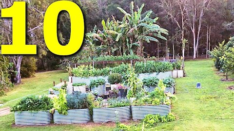 You'll Never Believe This I Grew and Foraged 100% of My Food for an Entire Year! Fact