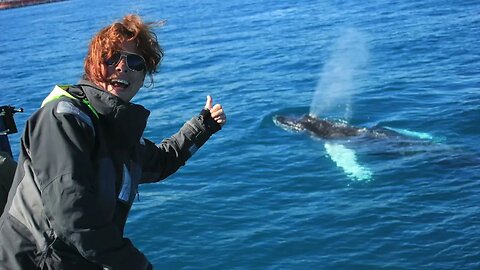 Fiona and the Humpback whale.