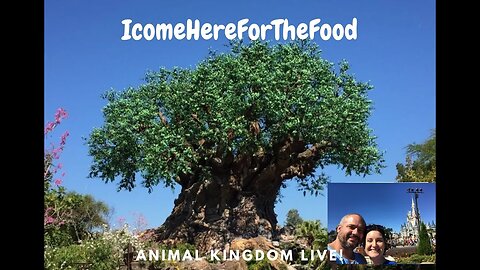 🔴Live🔴Disney's Animal Kingdom!?!! 🌳🐘🐅🦍🦏what's new! Livestream! 5/26/23