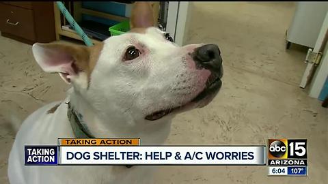 Dog shelter with A/C issues is permanently closing