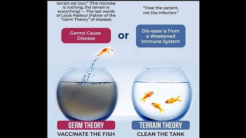 What virus? Where is the proof? Virology debunked