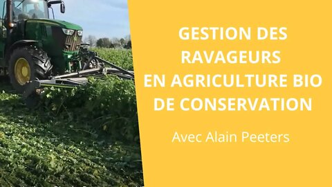 Gestion des ravageurs en Agriculture Bio de Conservation