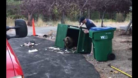 Bear cubs rescued from garbage can