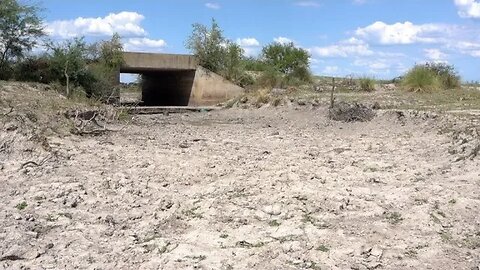 Argentina's drought affects 70 million hectares in Paraná river basin and its agricultural exports