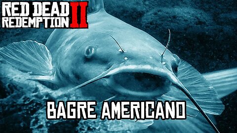 Localização do Bagre Americano RDR2