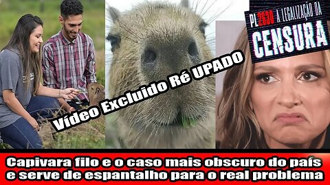 Capivara filo e o caso mais obscuro do país e serve de espantalho!