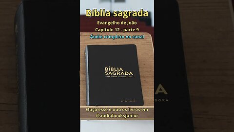 Bíblia Sagrada - Evangelho de João - Capítulo 12 - parte 9