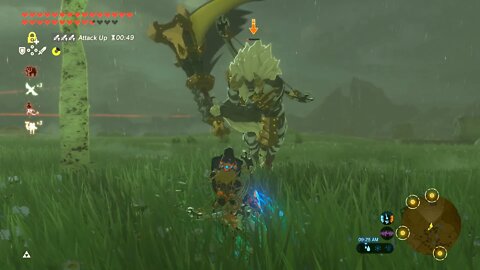 Fast Lynel Termination Redux