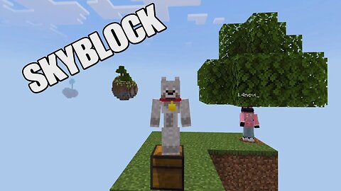 SKYBLOCK/WELL THIS WAS FUN