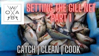 Gill Netting Pt 1 - Perch - Catch|Clean|Cook