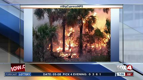 Wildfire Watch: A look at brush fires across Southwest Florida