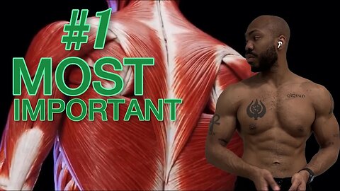 Calisthenics STRENGTH Secrets: The Scapula