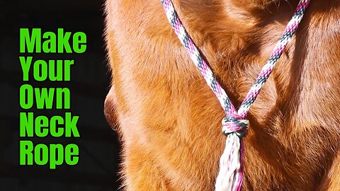 How to make a Neck Rope for Bridleless Riding or Training your Horse | Tying a Matthew Walker Knot