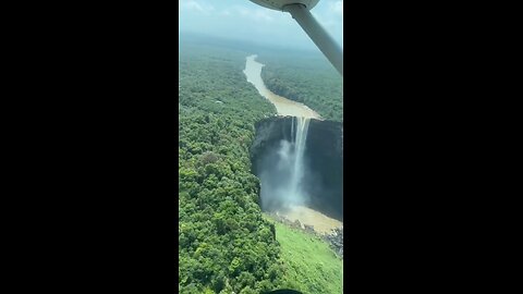 Amazon Forest