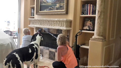 Great Dane Watches Amazing DIY Fireplace Renovation