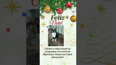 Feliz Natal Gato Bartolomeu Tunico