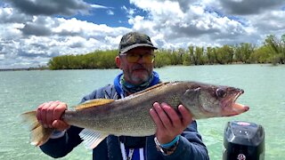 Master Angler Walleye Release