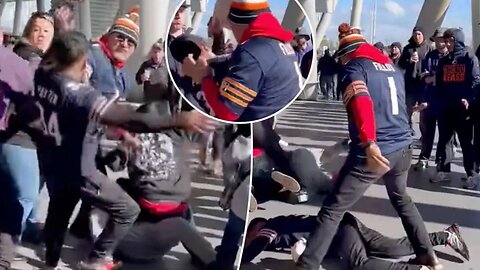 Chicago Bears Fan KO'ed By Haymaker In Violent Fight At Game