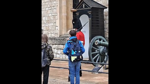 Don't sit on the fence at the Tower of London #toweroflondon