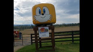 Sonic at Wayside Farm Fun 2021 (part 4)