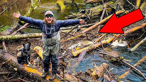 Finding LOG JAM TREASURES, Fishing Small CREEK! Catch N' COOK CREEKSIDE!!