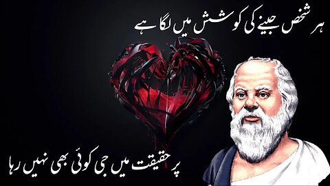 Her Shakhs Jeenay Ki Koshish Me Ha Heart Touching and Amazing Urdu Quotes Collection Aqwal e Zareen