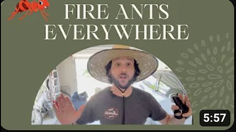 Not A How To (2) - Get rid of ants in your lawn