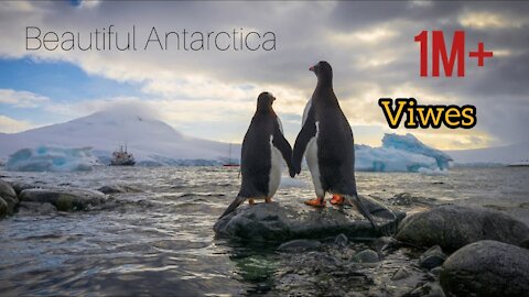 ANTARCTICA - The Frozen Continent | Short video | The World