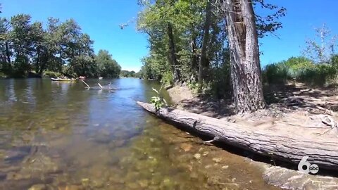 Two suffered critical injuries after Boise River rope swing causes tree to land on about ten people, authorities say