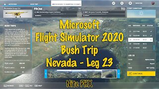 MSFS2020 - Bush Trip - Nevada - Leg 23