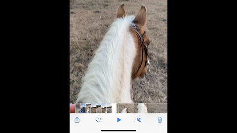 Horses first time running barrels