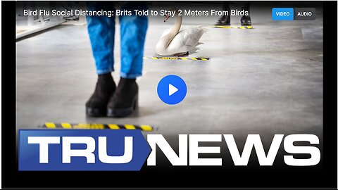 Bird Flu Social Distancing: Brits Told to Stay 2 Meters From Birds