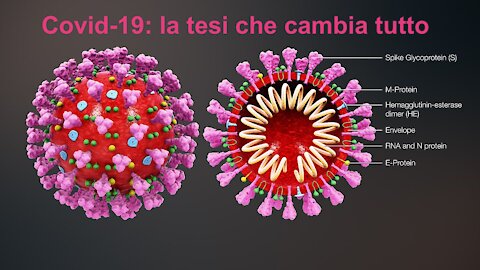 Covid19: la tesi che cambia tutto