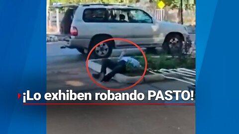 ¡Hombre de la tercera edad roba el pasto! Fue descubierto por un vecino, en Mérida