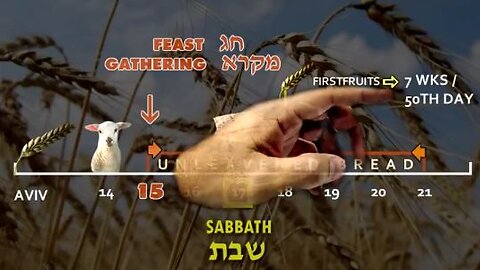 (2 of 3) 50 Days from First-fruits to Pentecost (Shavuot) Prophetic Feasts Counting the Omer from the Sabbath after First Fruits to Shavuot & Grain offering