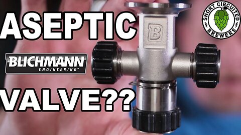 Blichmann Aseptic Valve