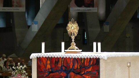 Adorazione eucaristica, Basilica San Pio X a Lourdes