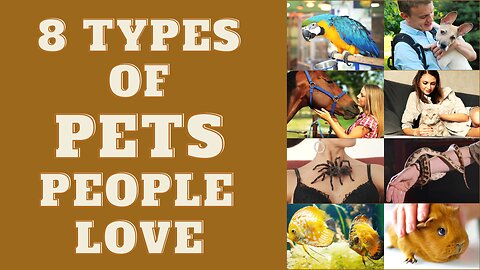 8 Types Of Pets People Love (Furry, Feathered or Scaly)