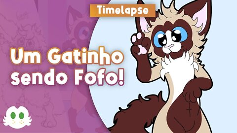 Um Gatinho sendo Fofinho [Timelapse]