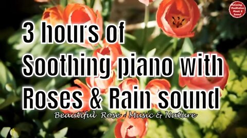 Soothing music with piano and relaxing rain for 3 hours, music to relax your mind and body