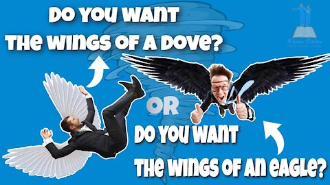 👉Do you want the Wings of a dove 🕊️ or Do you want the wings of an Eagle 🦅?