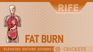 FAT BURN with RIFE