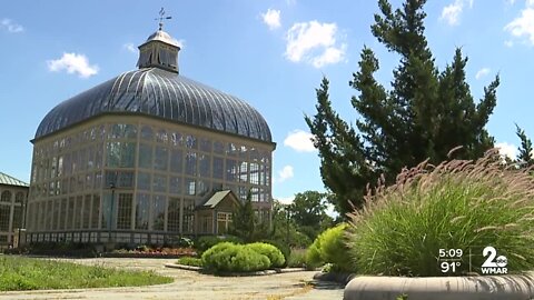 Weddings to resume at Baltimore City's Cylburn Arboretum and Rawlings Conservatory