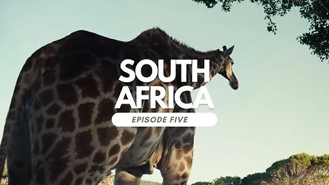 Dr. Whitley Travels to South Africa: Episode Five