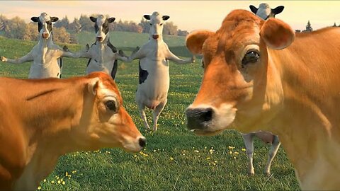 FUNNY COW DANCE 7 │ Cow Dance Song & Cow Videos 2024