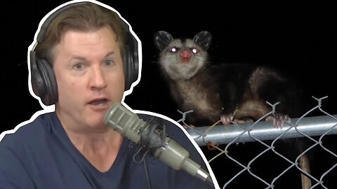 Sean and the Opossum