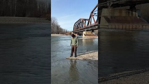 Exploring ALASKA!🫶🏻 #HomeFreeAlaska #Alaska #Shorts #Talkeetna