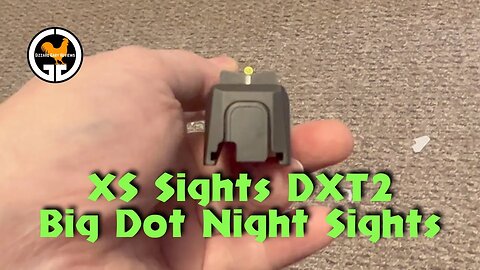 XS Sights DXT2 Big Dot Night Sights